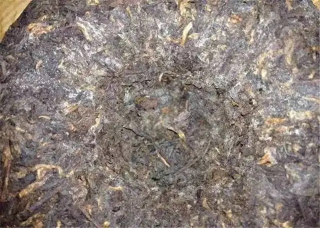 2022年普洱茶受潮發(fā)霉了怎么辦？