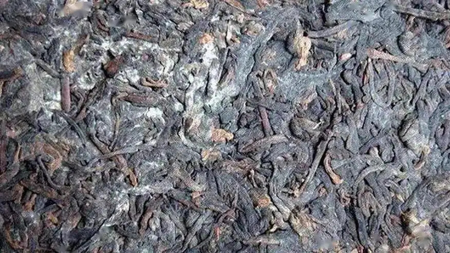 普洱茶怎么樣才算發(fā)霉？