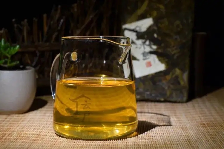 有茶油的普洱茶正常嗎？茶油是如何形成的？