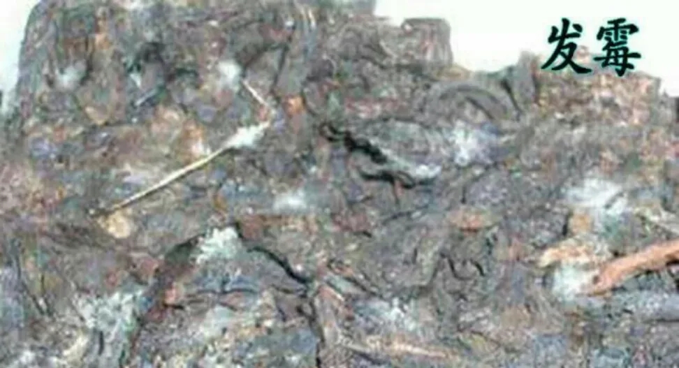 普洱茶受潮怎么處理？