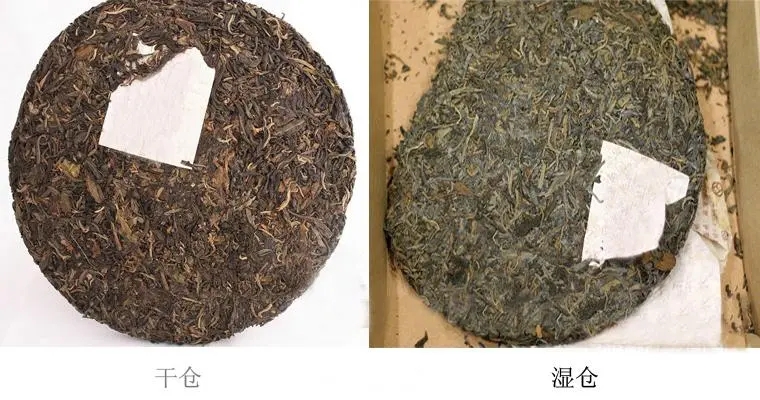 普洱茶怎么分辨干濕倉？