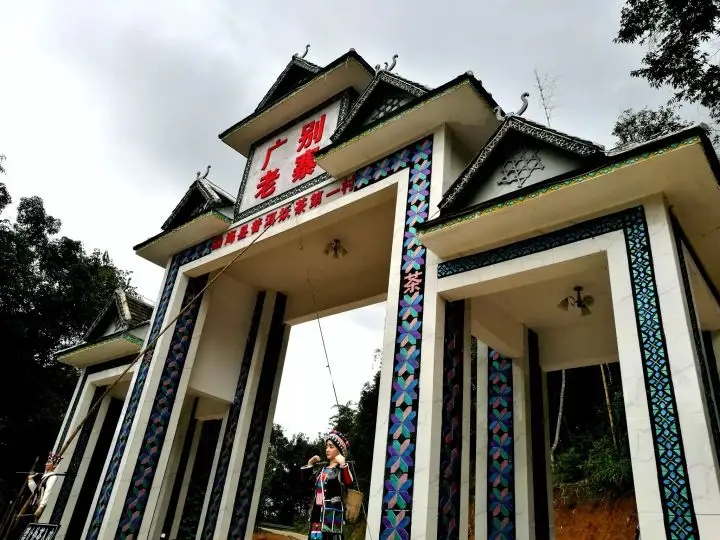 廣別老寨普洱茶怎么樣?