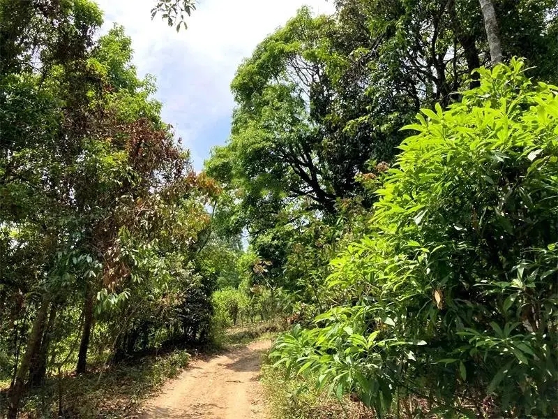 茶山紀(jì)實(shí)：犀牛塘，最近能火是有原因的