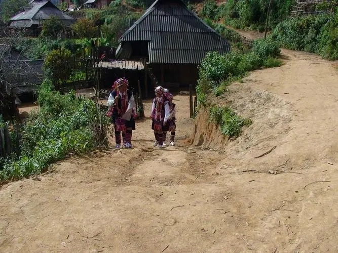 2022年的春天，古樹味道從犀牛塘開始！