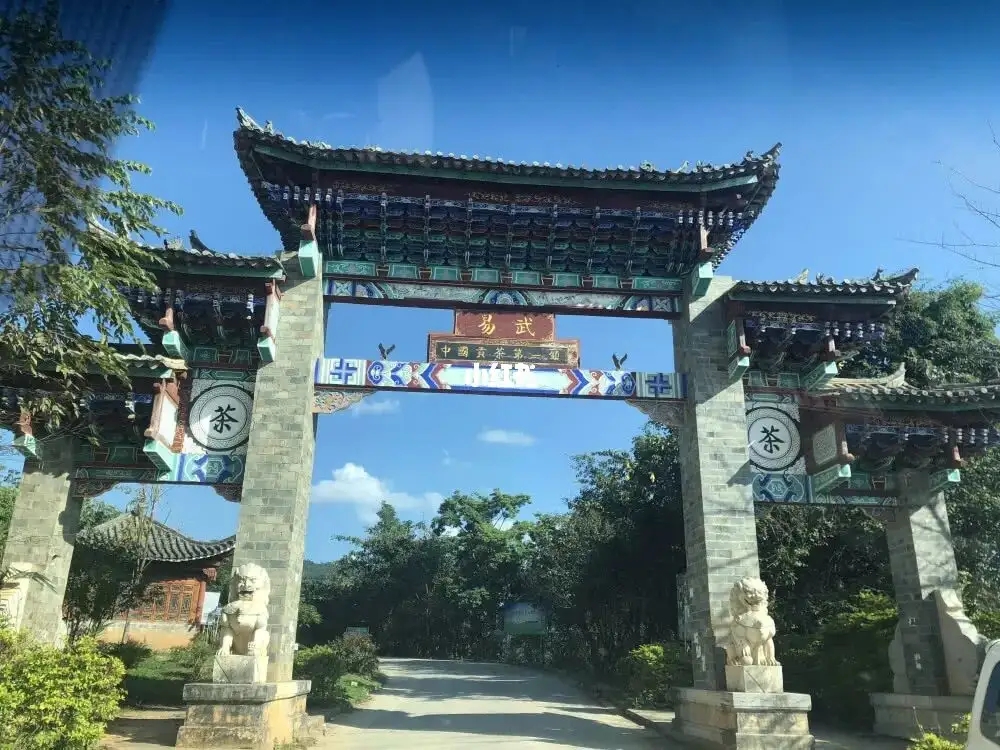 古樹茶年份越老，茶葉就越好嗎？影響茶葉品質(zhì)的因素有哪些？