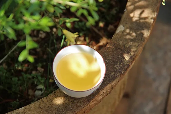 普洱茶越苦澀就代表品質(zhì)越好嗎？