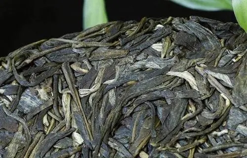 喝普洱茶，一定要喝老茶嗎？