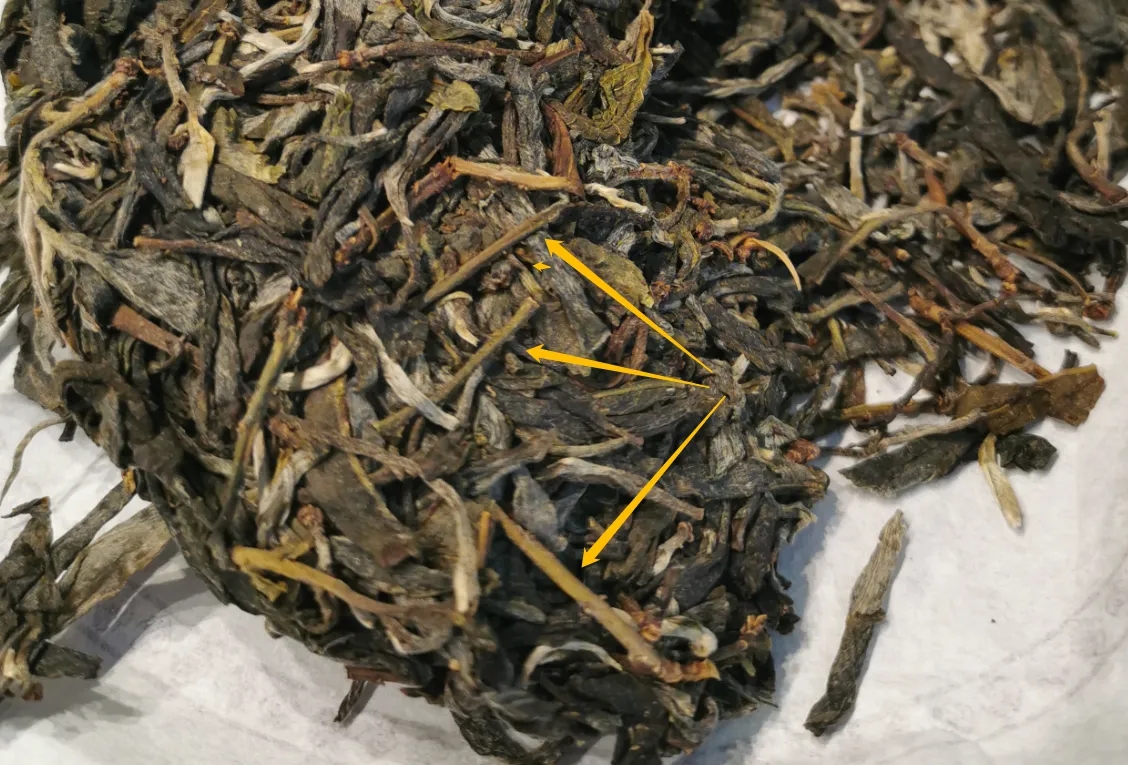 普洱茶的葉底有茶梗，就是茶不好嗎？