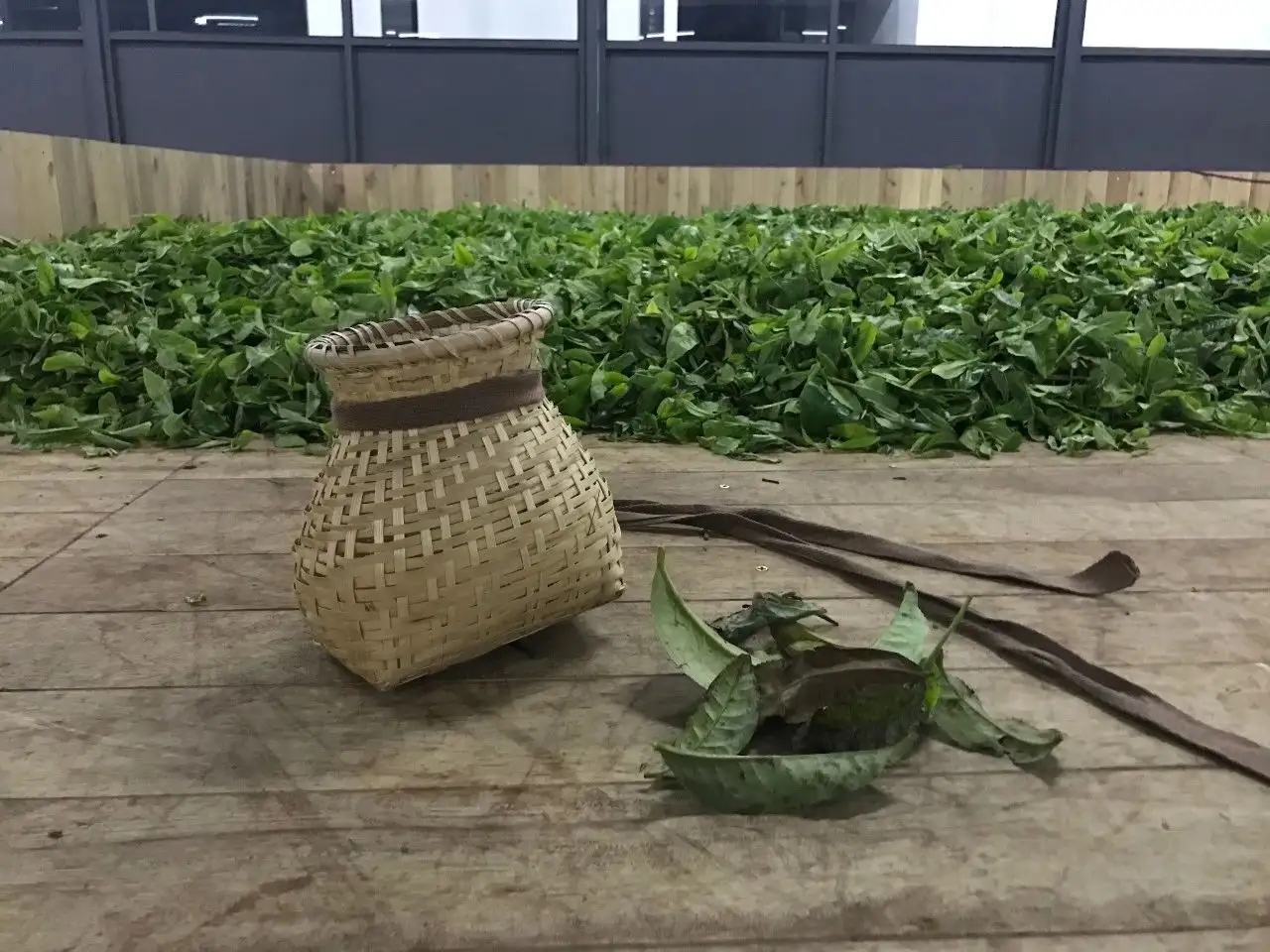 普洱茶，如果不談山頭，我們談什么？