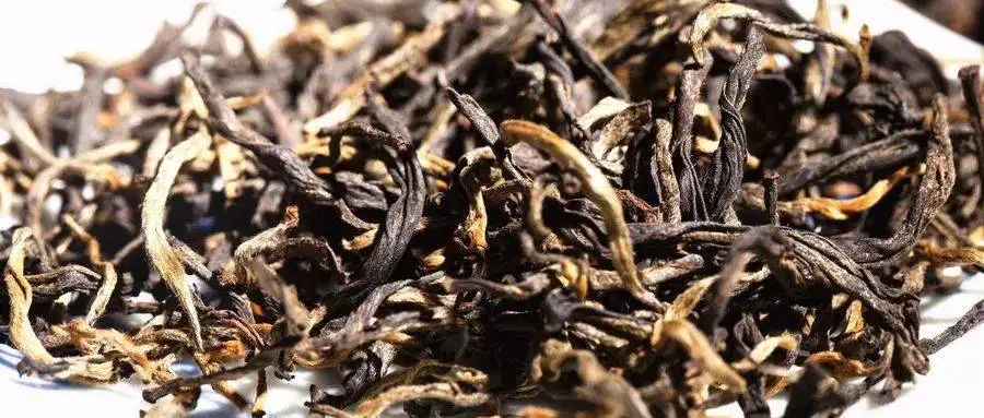 什么是茶氣？茶氣強(qiáng)勁又是一種怎樣的體驗(yàn)？