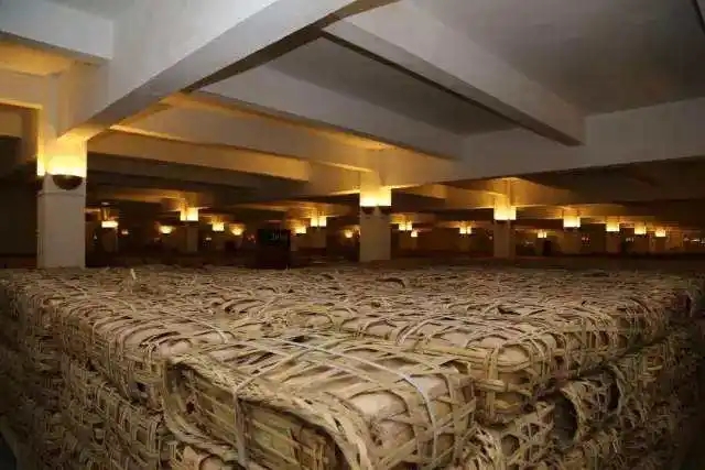 云南古樹普洱茶好在哪？相比小樹茶、臺(tái)地茶有何不同？