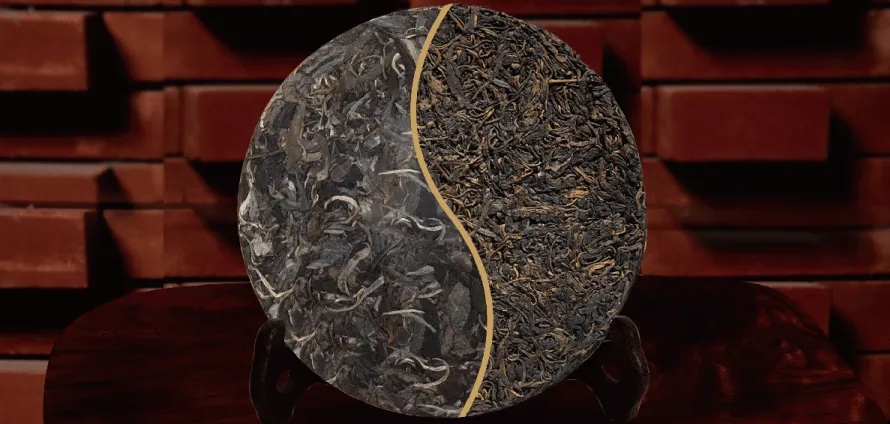 一入普門深似海？入普洱門前，你需要了解這些