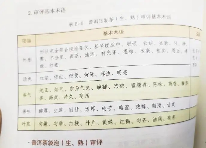 活學(xué)活用 ，一學(xué)就會(huì)的普洱茶口感術(shù)語
