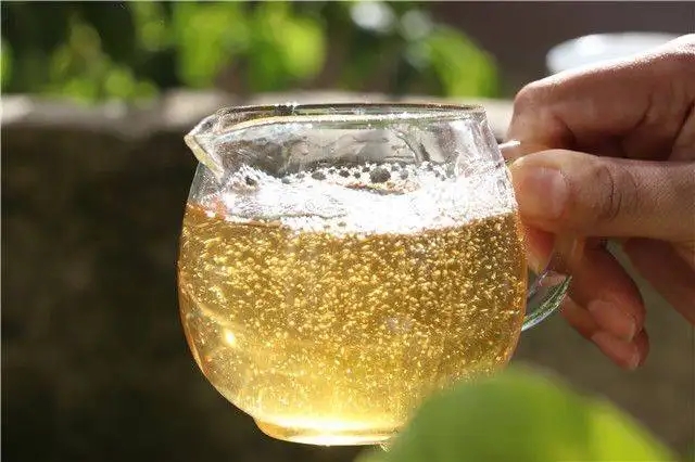 茶顏觀色”，看普洱茶條索里都蘊(yùn)含著怎樣的“密碼”？