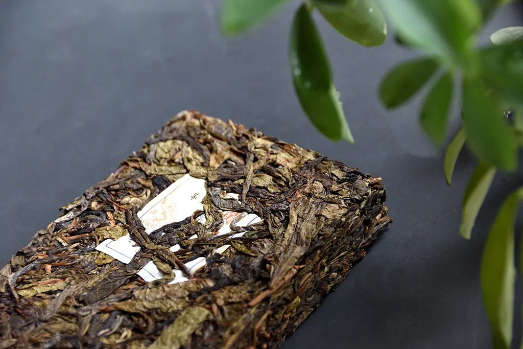 普洱茶古樹黃片，性價比超高的口糧茶，有骨有肉香甜順