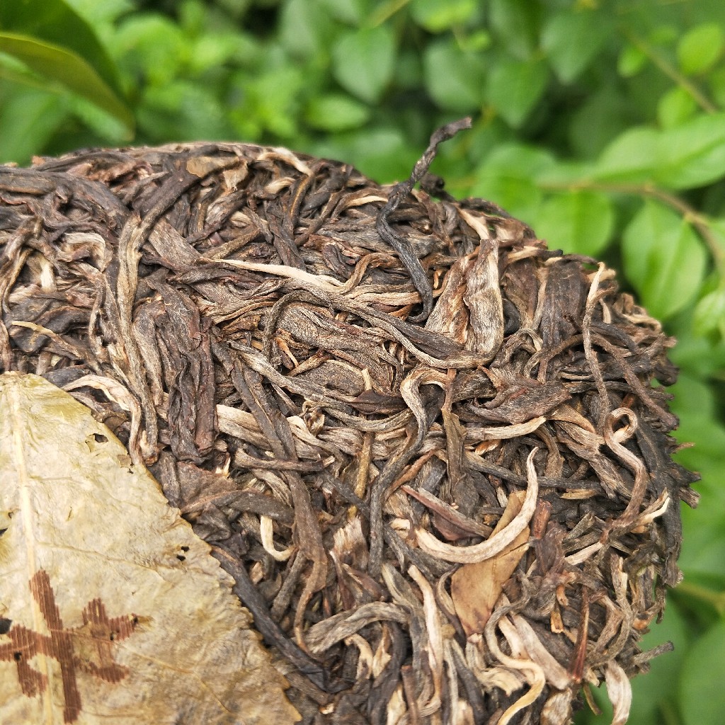 2023年班盆古樹春茶多少錢一公斤？