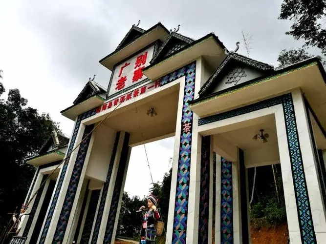 2023年廣別老寨古樹春茶品質(zhì)如何？