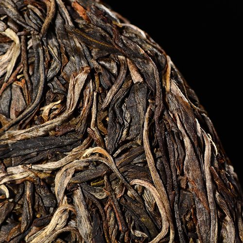 2023年廣別老寨古樹春茶口感怎么樣？