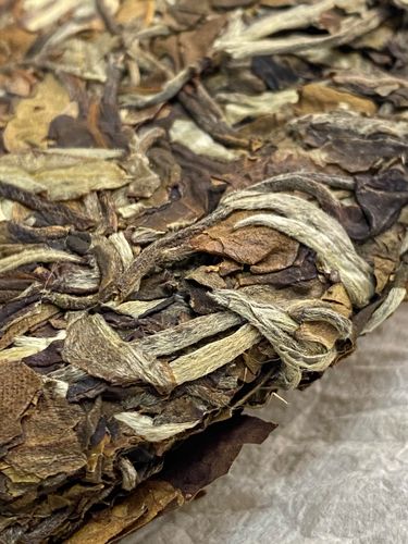 2023年拔瑪老寨古樹(shù)春茶特點(diǎn)是什么？