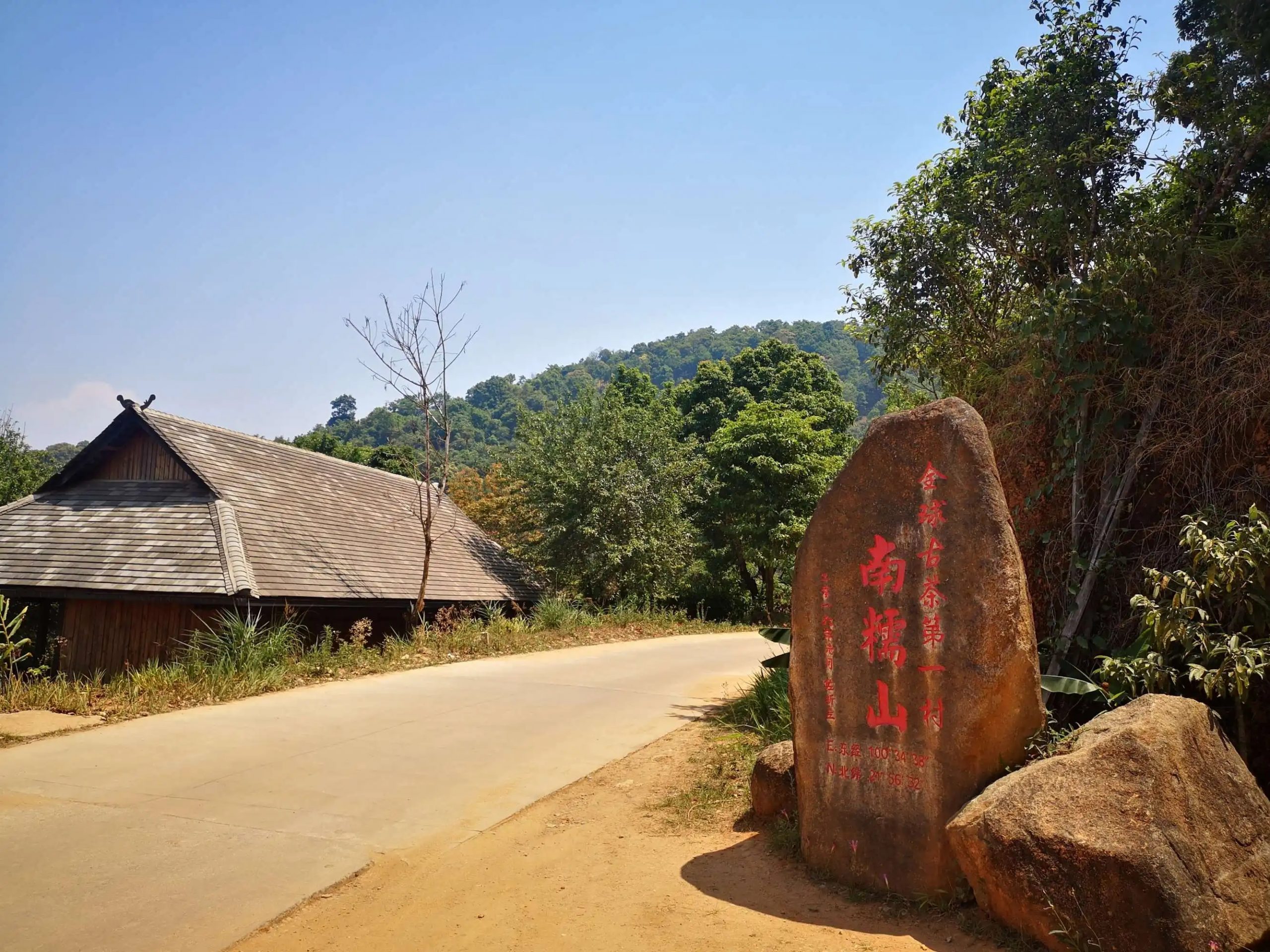 2023年南糯山古樹(shù)春茶品質(zhì)怎么樣？