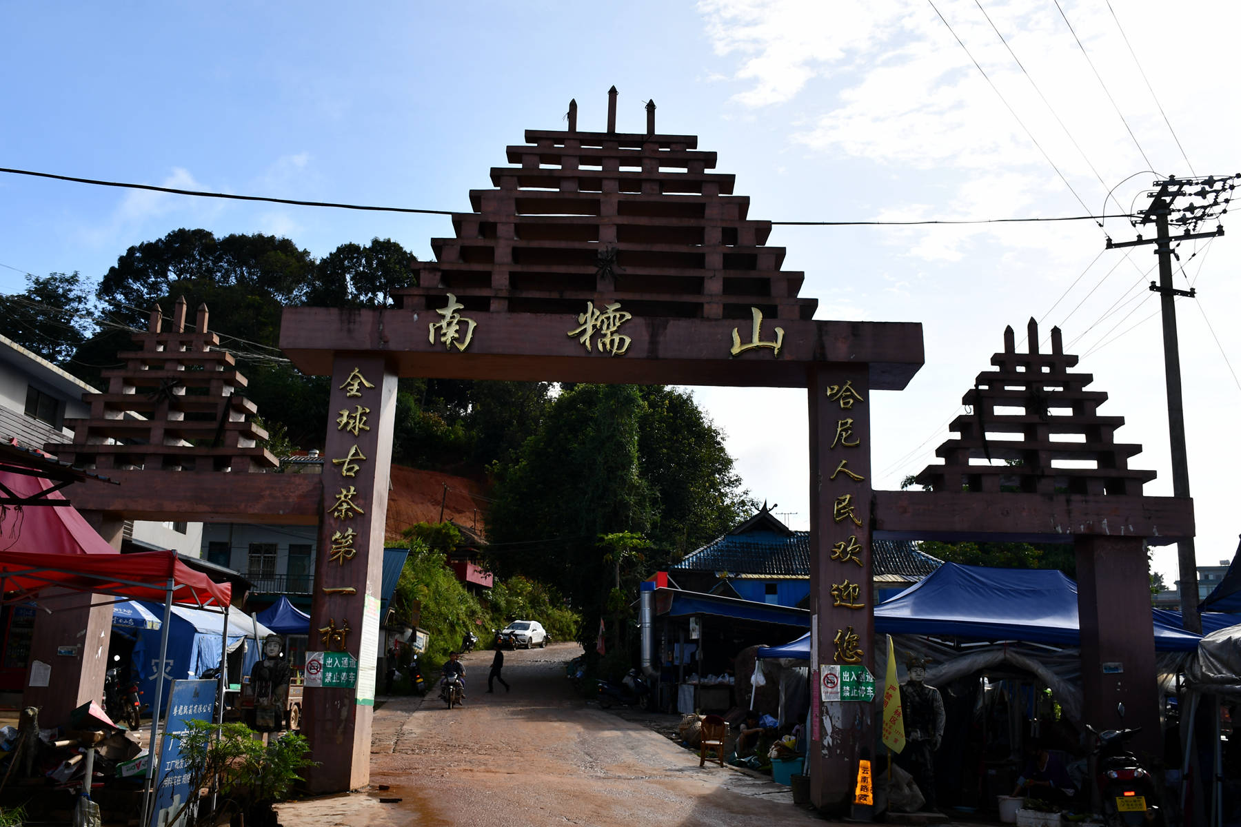 2023年南糯山古樹春茶價(jià)格是多少？