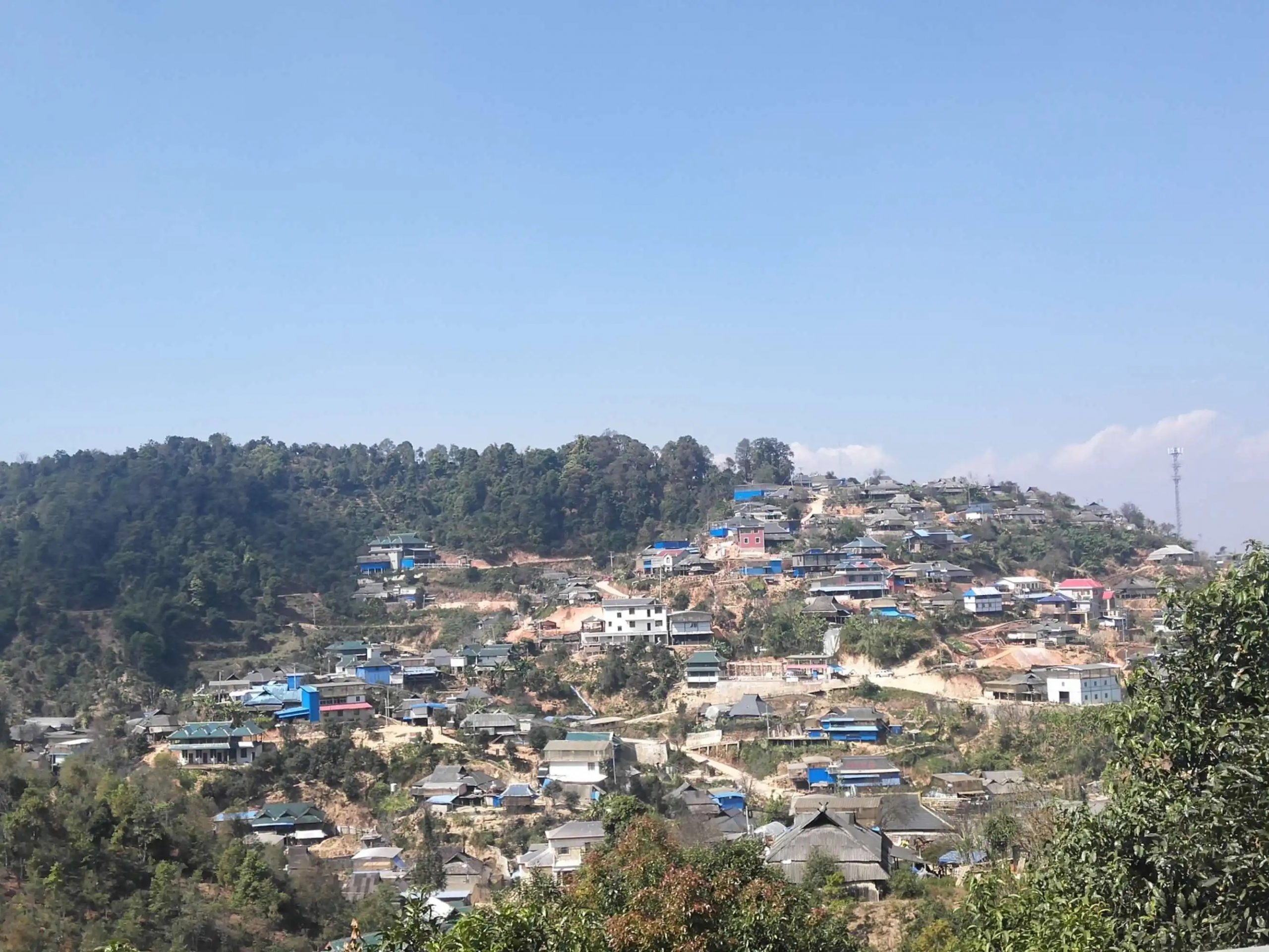 2023年帕沙古樹(shù)春茶品質(zhì)如何？