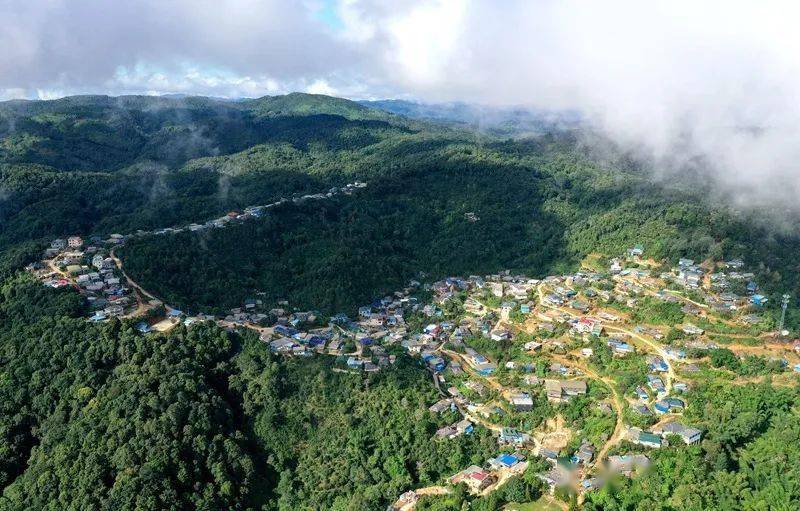 2023年帕沙古樹(shù)春茶口感怎么樣？