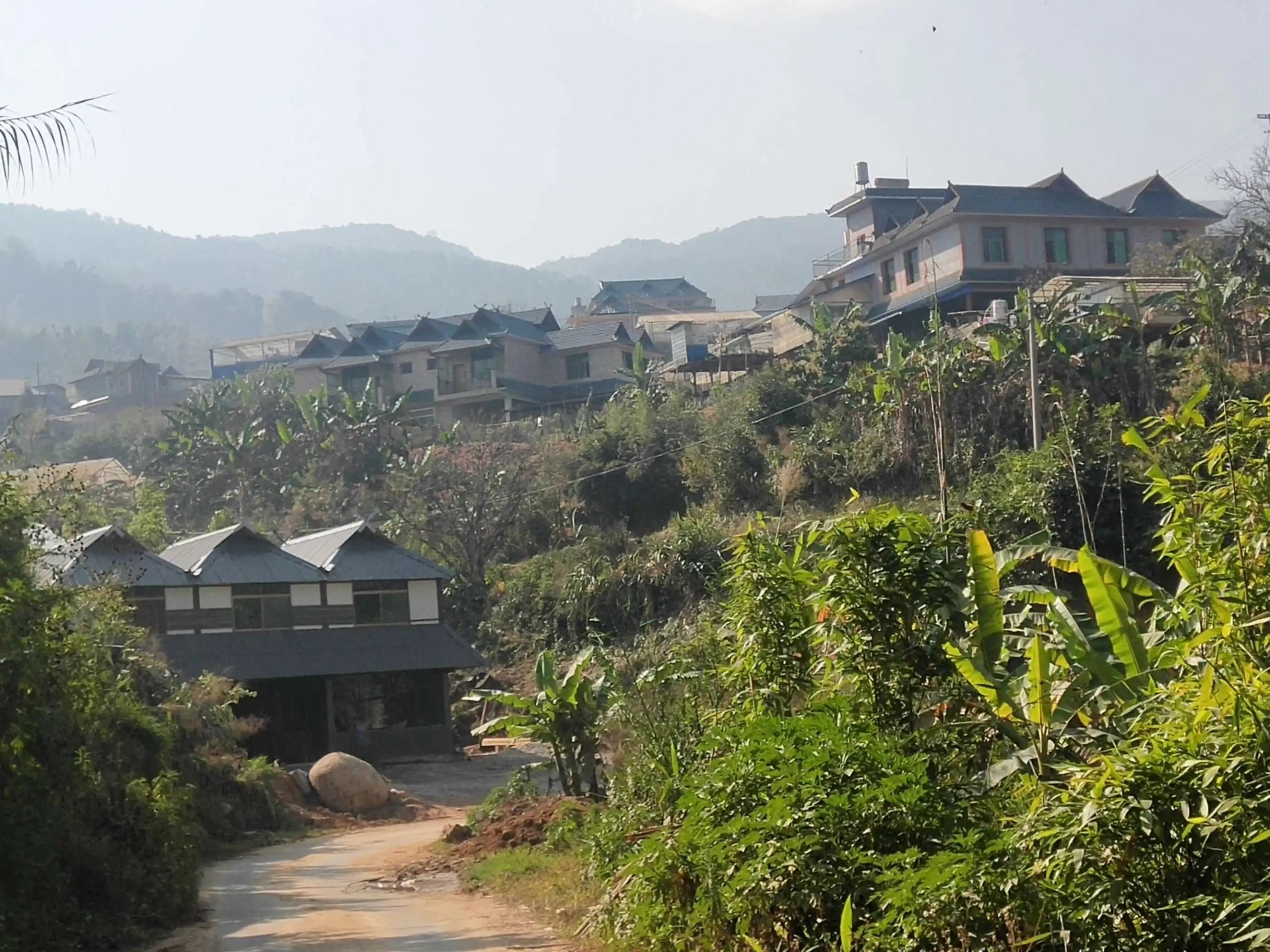 2023年帕沙古樹(shù)春茶價(jià)格多少錢(qián)？