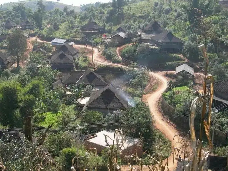 2023年保塘老寨古樹春茶品質(zhì)如何？