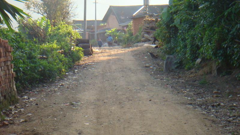 2023年保塘老寨古樹春茶價格是多少？