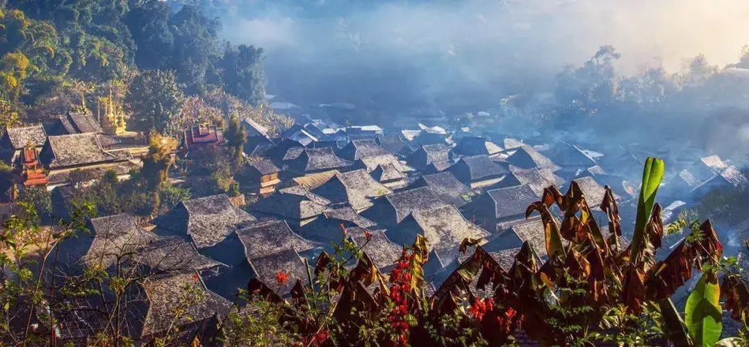 2023年景邁古樹春茶品質(zhì)如何？