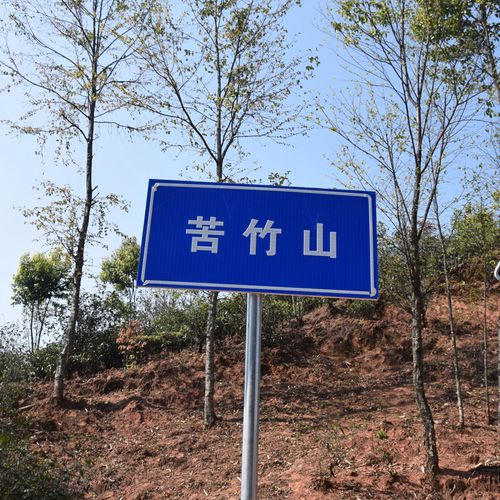 2023年苦竹山古樹(shù)春茶品質(zhì)如何？