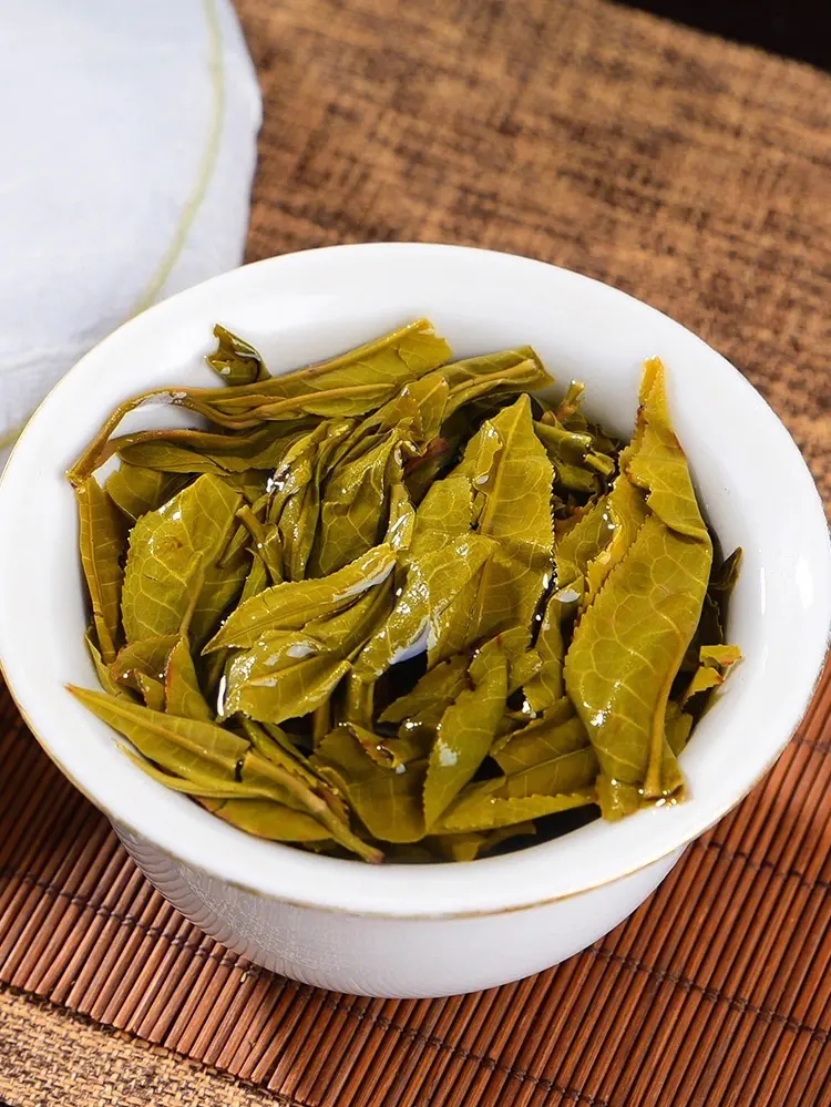 2023白鶯山古樹(shù)春茶特點(diǎn)是什么？