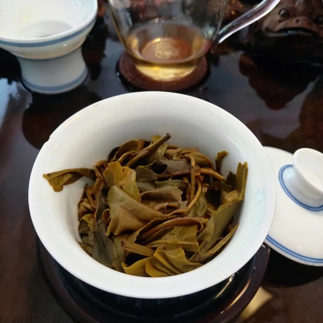 2023年昔歸古樹春茶口感如何？