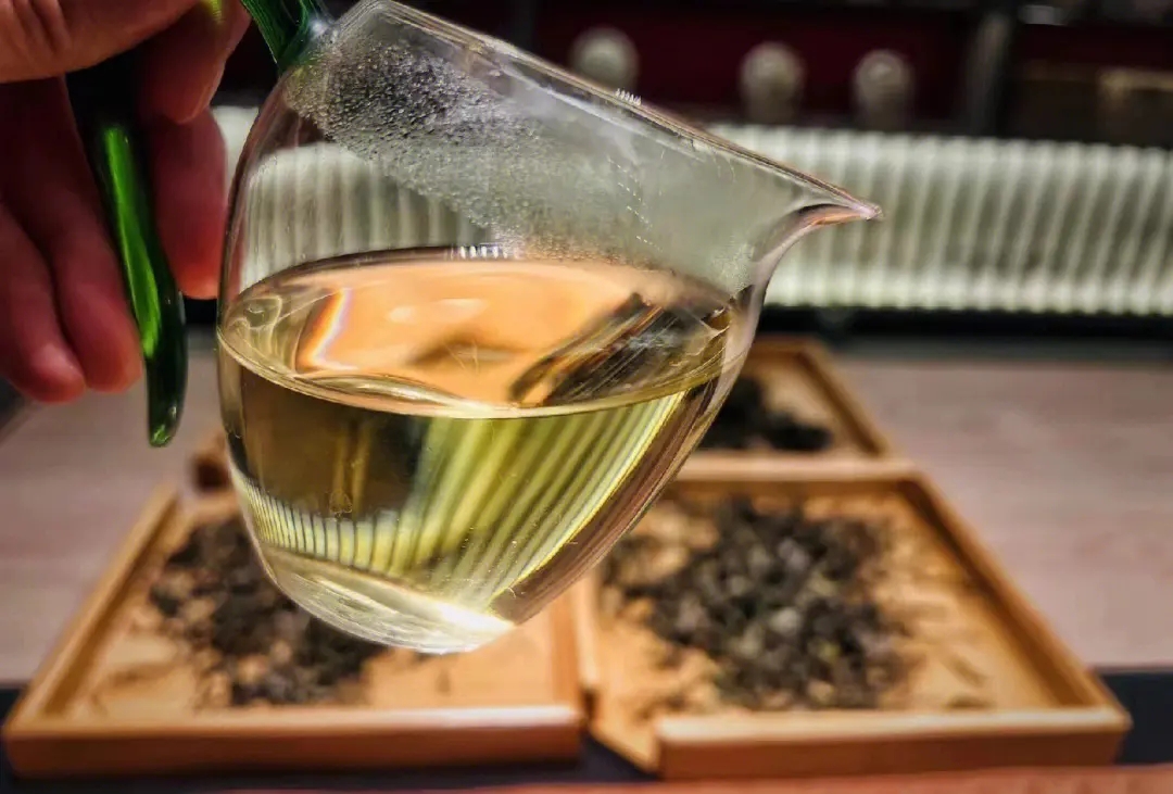 2023年鳳凰窩古樹春茶價格是多少？