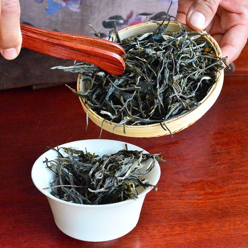 2023年地界古樹春茶口感是什么？