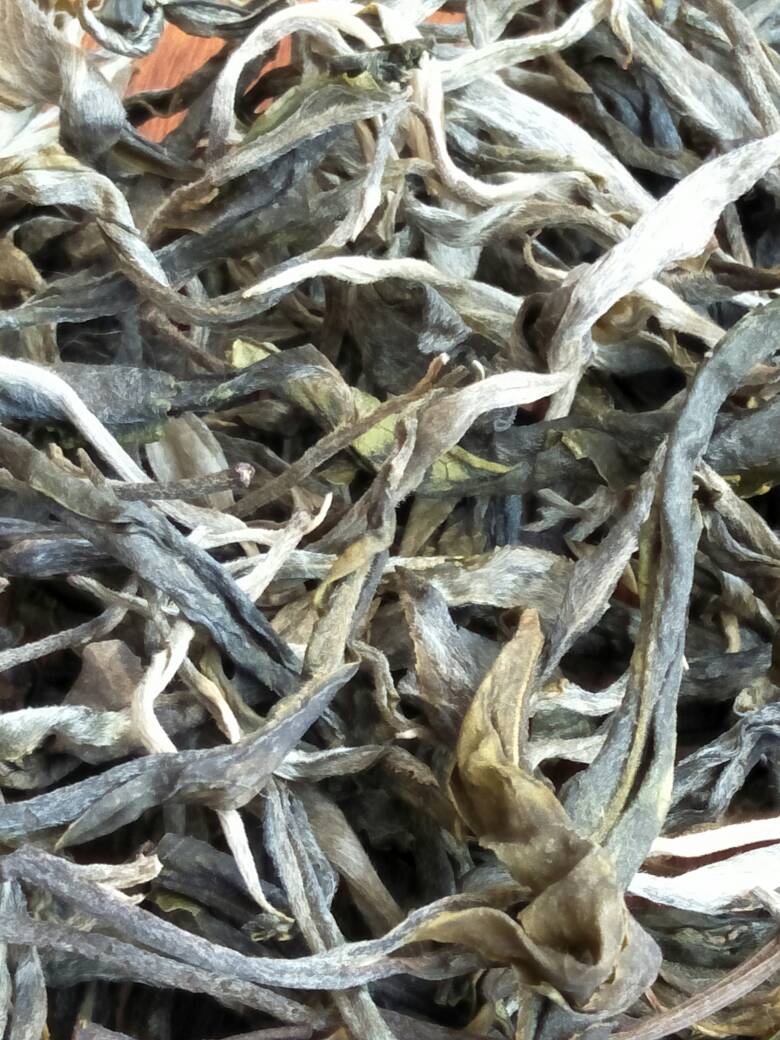 2023年壩歪古樹(shù)春茶價(jià)格是多少？