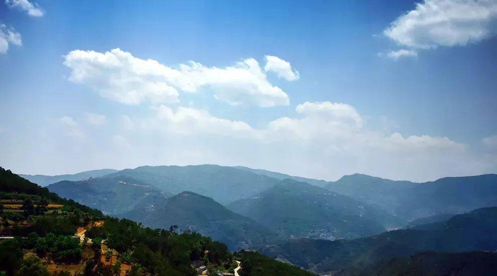 2023年勐庫大忠山古樹春茶價格是多少？