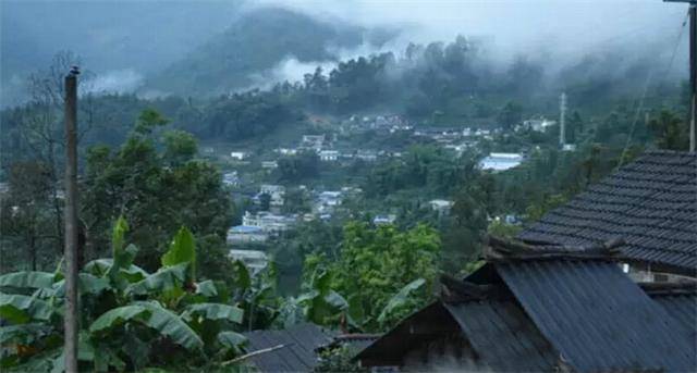 2023年勐庫豆腐寨古樹春茶口感怎么樣？