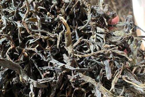 2023年鎮(zhèn)沅老烏山古樹春茶多少一公斤？