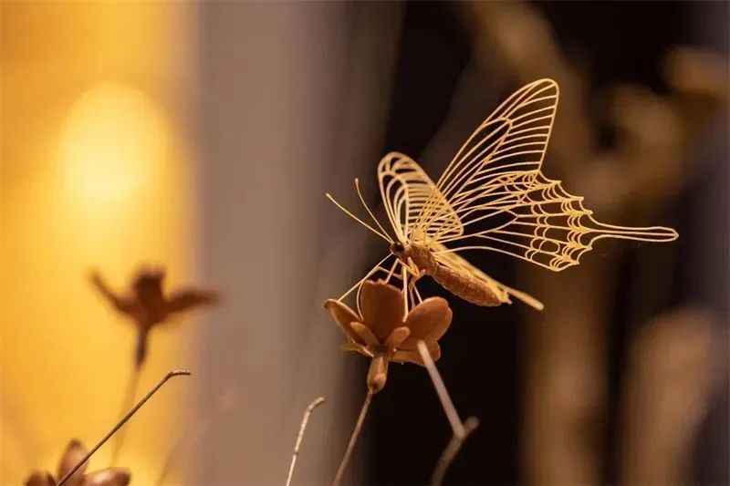 祝賀！陳財制茶被認定為市級普洱茶傳統(tǒng)制茶技藝非遺傳承人