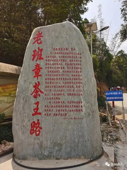 2024年老班章古樹春茶品質(zhì)如何？