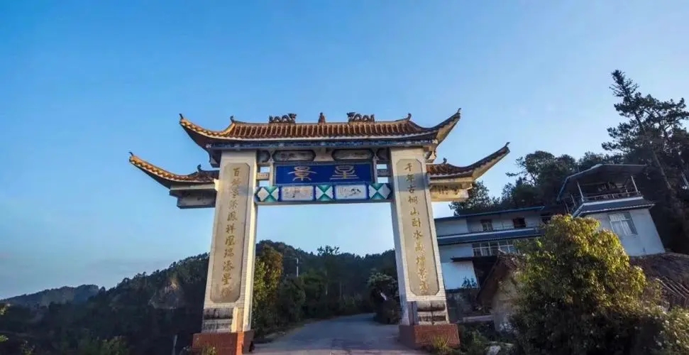 2024年墨江鳳凰窩古樹(shù)春茶特點(diǎn)是什么？