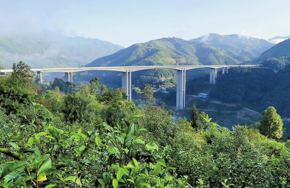 2024年昔歸古樹春茶品質(zhì)如何？