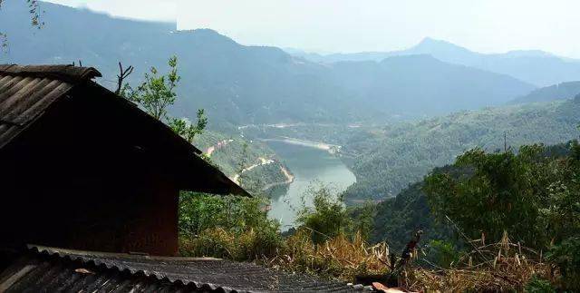 2024年磨烈古樹(shù)春茶價(jià)格多少？