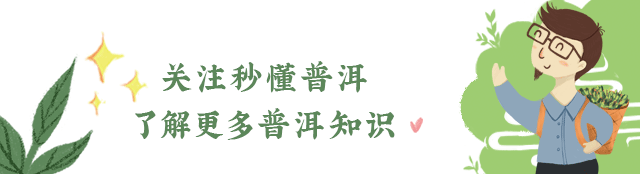 陳財制茶：2024年，茶山真實(shí)寫照，最慘的那波人
