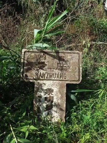 2025年蠻磚古樹春茶特點(diǎn)是什么？