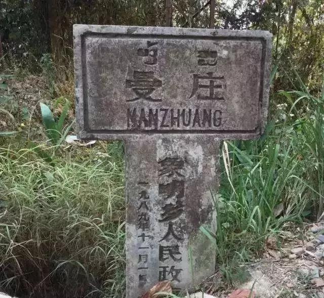 2025年蠻磚古樹春茶價格是多少？